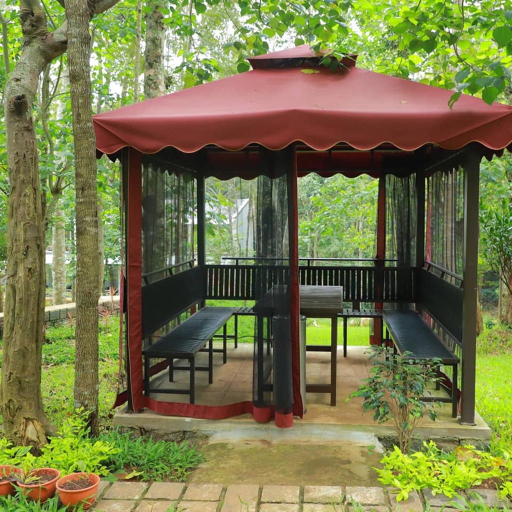 Wellness & Rejuvenation